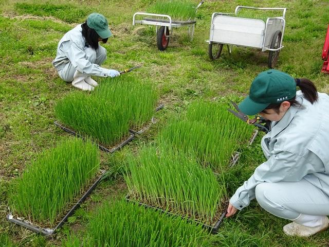 加美農業高等学校画像