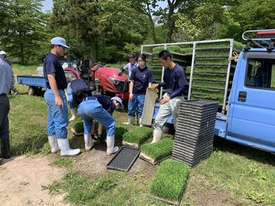田植え