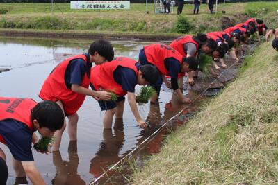 加美農業高校　全校田植え