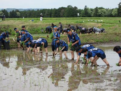 加美農業高校　全校田植え